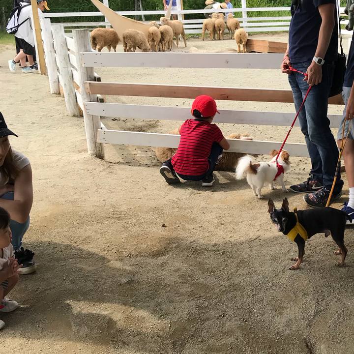 E9e456e8 1879 4ac4 ba51 cd3e127a0d09 1535267159113