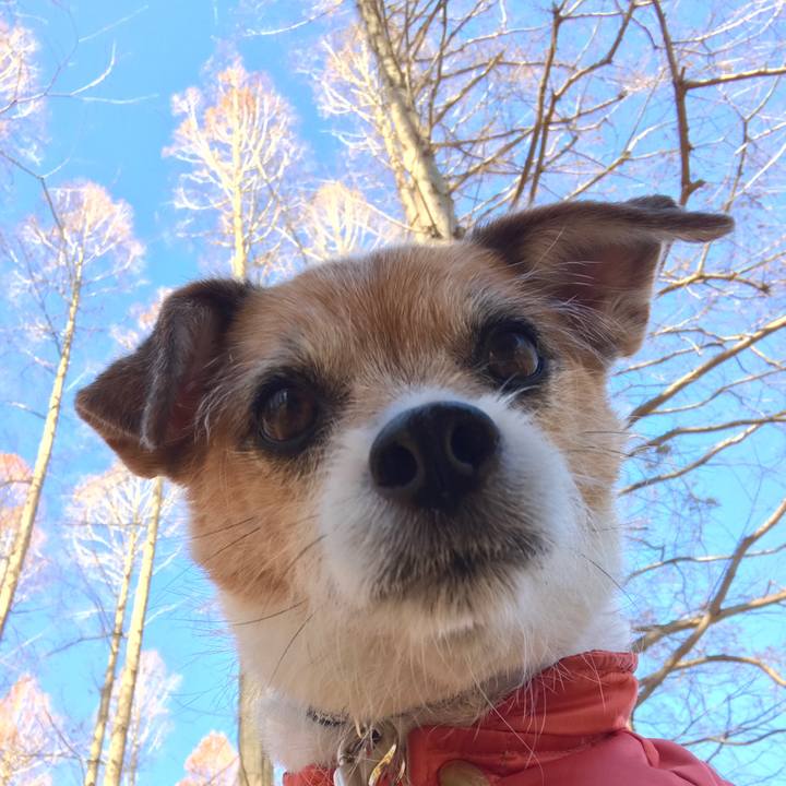 E9e4658e 6e5e 4a95 81a0 d00d5f9dfde4 1609408805203