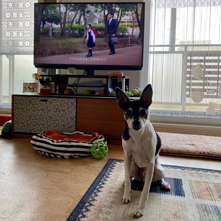 E9e49b11 b195 4a60 b569 205604ebee57 1617920031625