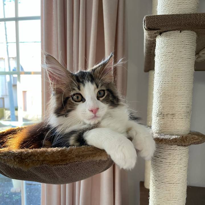 E9e49c18 038e 4114 a64e 059038cc0cd2 1632519743008