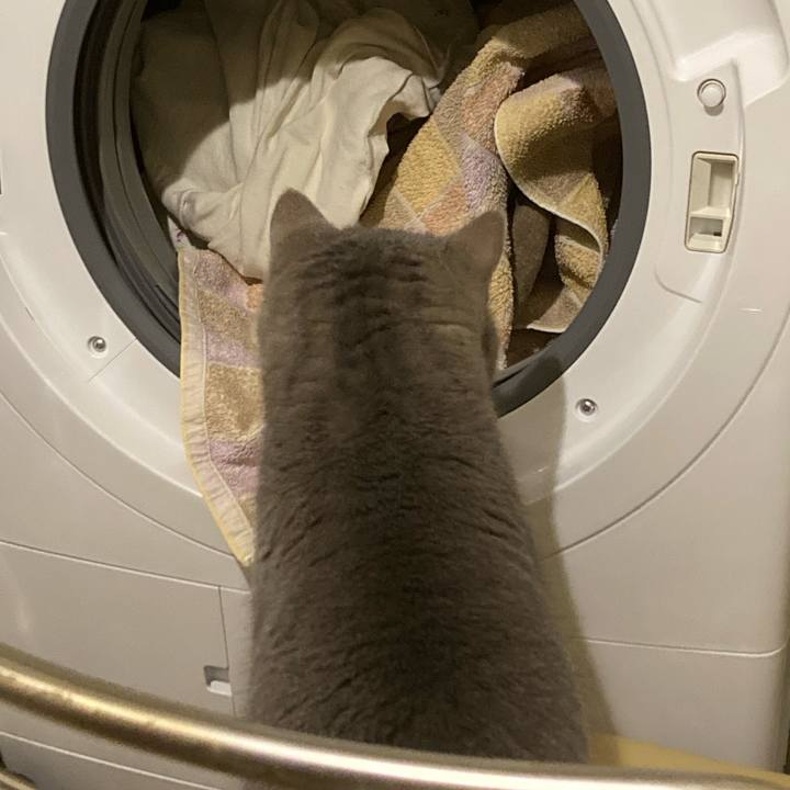 E9e49df5 160b 470d 8146 e890acaee7a4 1768260958849