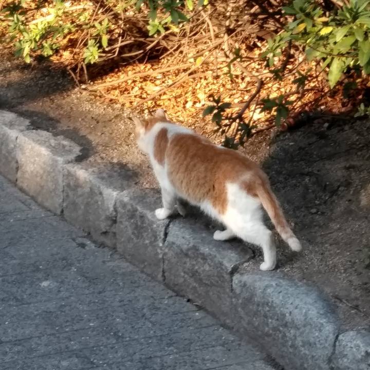 E9e49f5d d548 4254 bafb 707358a21105 1551925815327