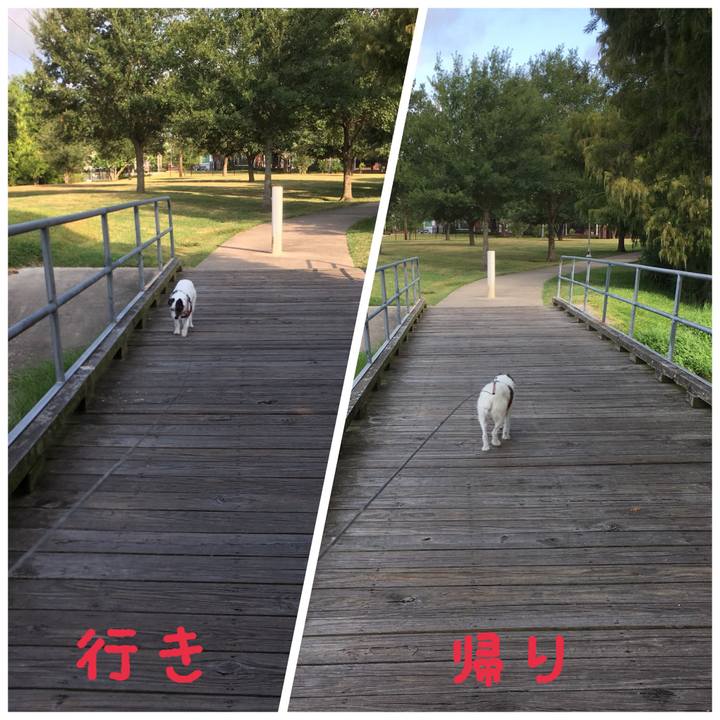 E9e4c1da 6598 4b18 9bf9 0374ac1b4a06 1535407733180