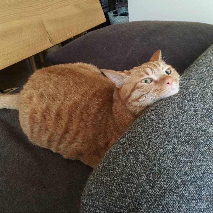 E9e4f873 cfd2 4eee 91be da3f7fb40652 1526421119192