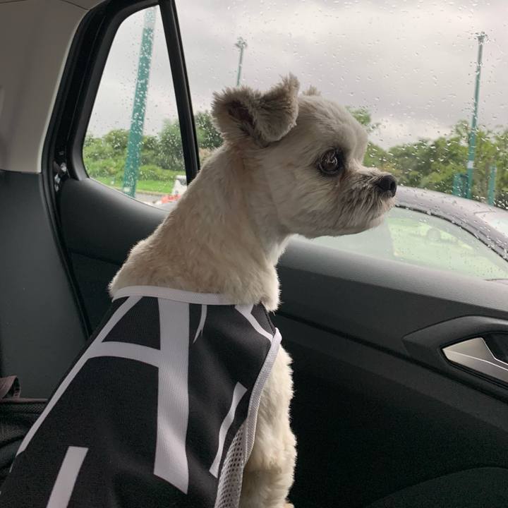 E9e5457f b291 405f 8893 3cb2e3e1addc 1629115166068