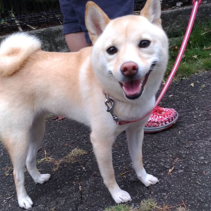 E9e5528a 5333 4324 9120 aa19bf831d6a 1538952597782