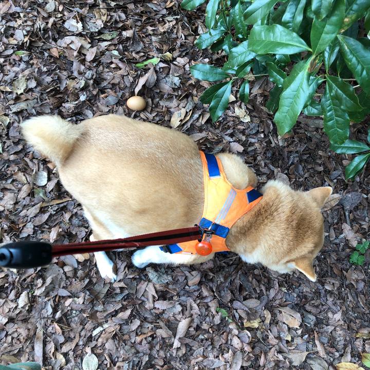 E9e60094 d90c 4c92 902d 048b68d3d735 1584875428123