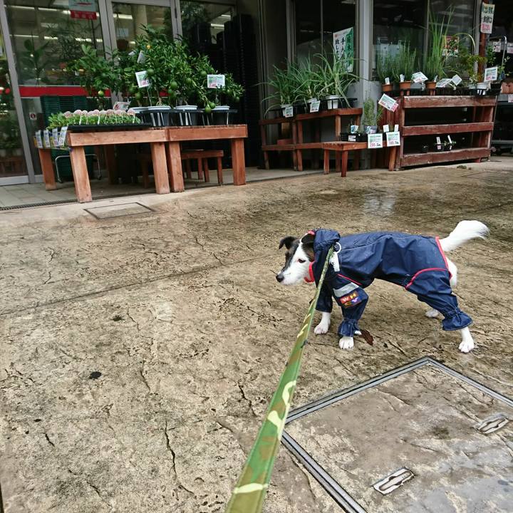 E9e60387 3898 4a99 ac15 f3a75a090d3c 1508032086315