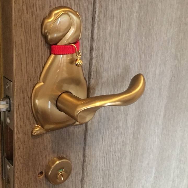 E9e61208 2f03 4726 9601 690d15b6ac6b 1566444188354