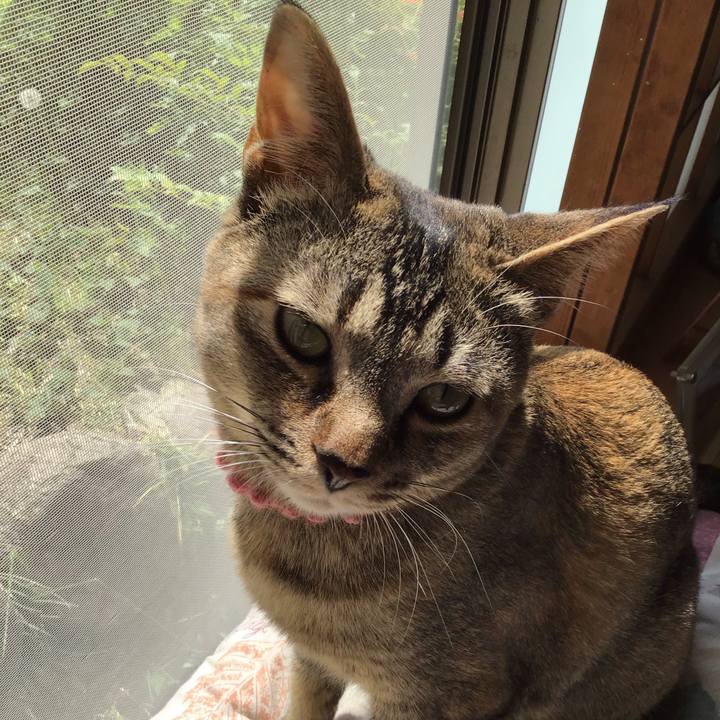 E9e61946 7cf5 4195 8fc2 176a1dc55dd2 1588395979203