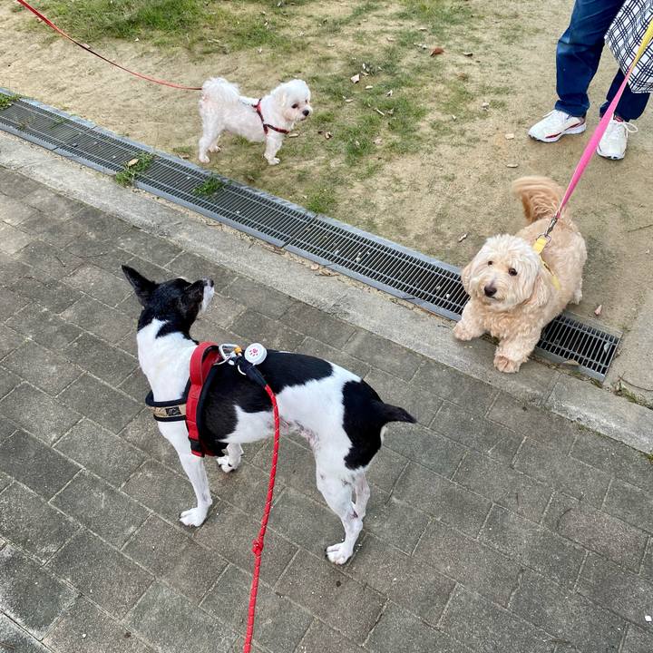 E9e660d1 e214 4d03 82c8 6d961c88561b 1632264910852