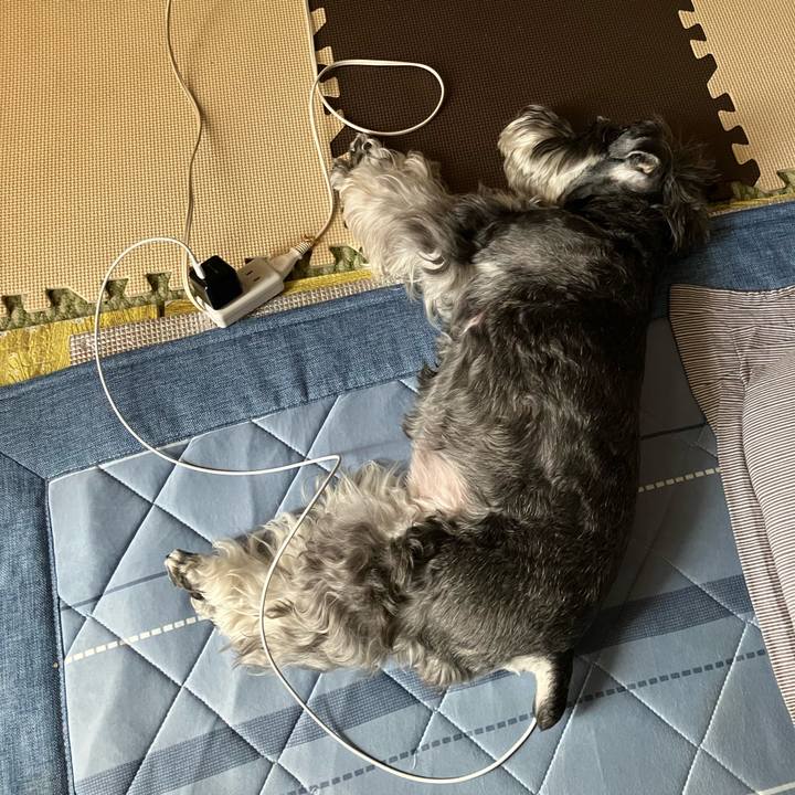 E9e66f9f 77b4 49b8 b346 110c6c1e6517 1720325982679