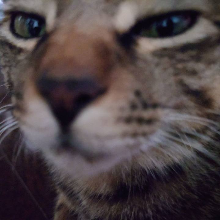 E9e69c2f b07e 4de4 ba80 789834f0bb1f 1727753791031