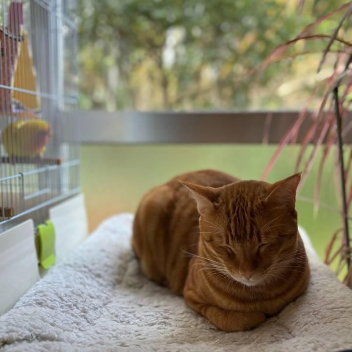 E9e6b0d0 0dc9 47f8 9736 091dbcc68571 1730683996958