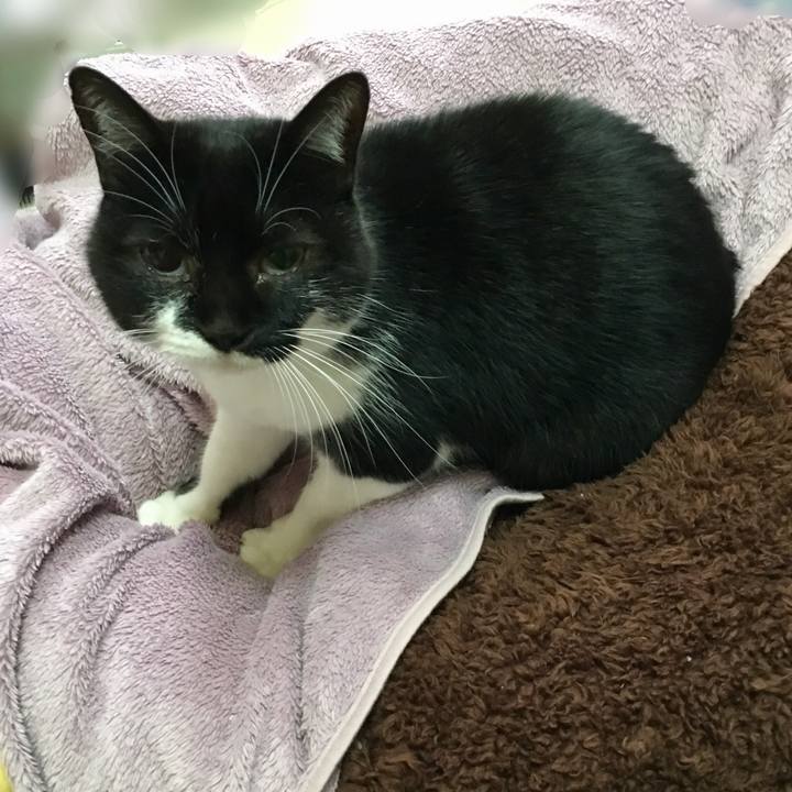 E9e6d93b 4262 4ed1 8ea8 ca3f270f0a5c 1547635216628