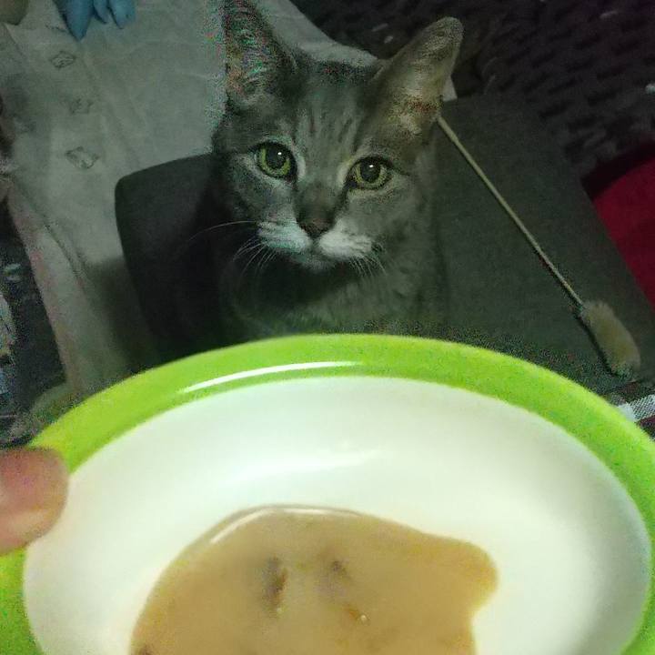 E9e6fa2c ff32 4723 8af4 fcb1203420af 1685274603074