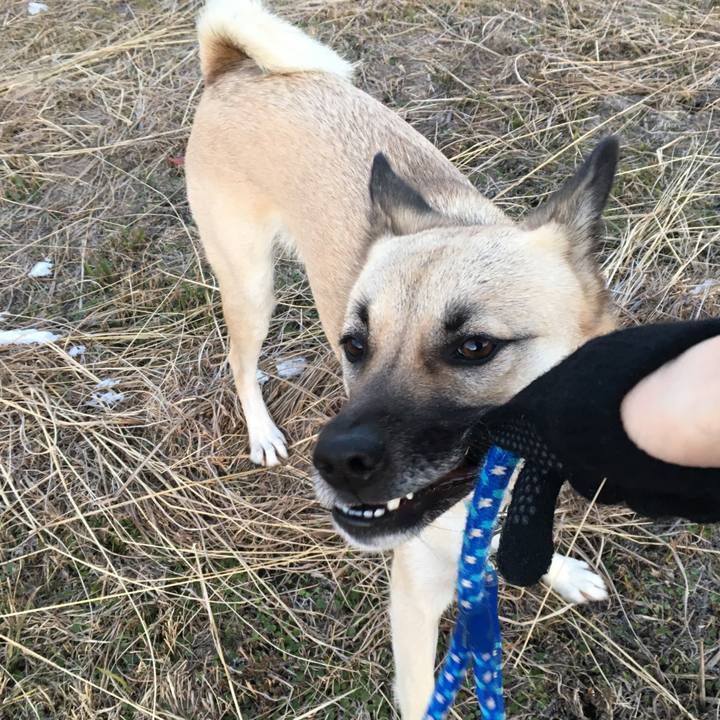 E9e71ba4 a7ff 4d44 8e8c 6479fb5d647d 1513248147310