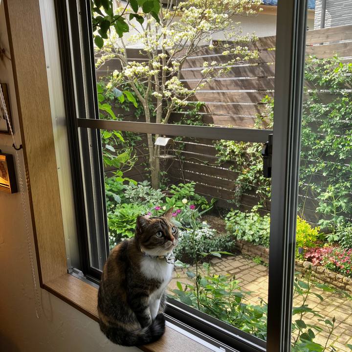 E9e74df4 f9d9 4092 94a9 bb453f7fe66c 1775952814352