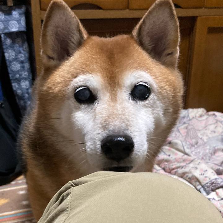 E9e768ec 267e 44ac a55e 6f2f9d31039e 1728814009271