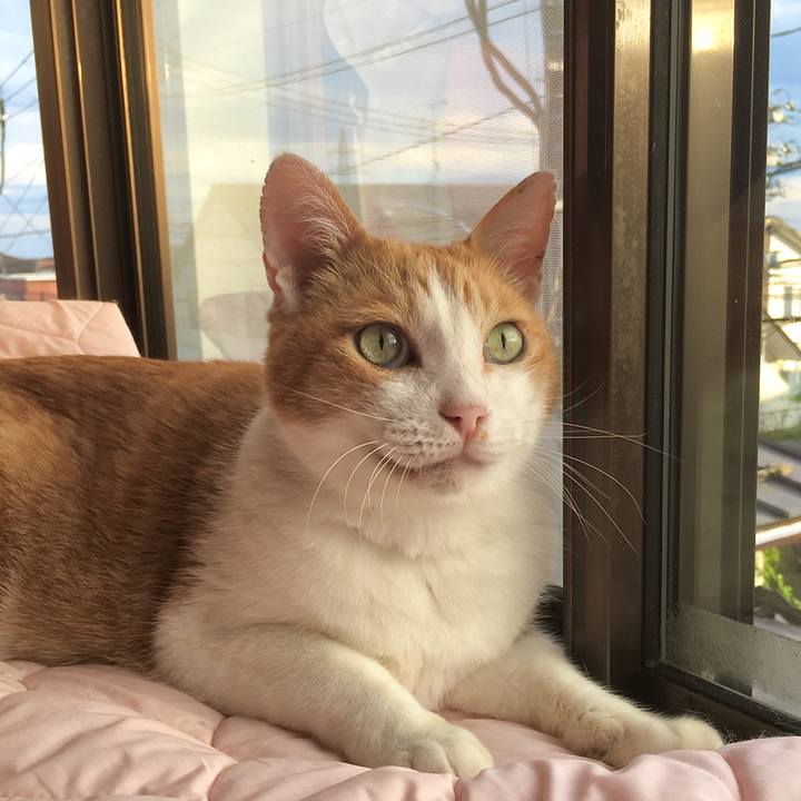 E9e7937b 7a80 43d6 b87b 842ad7097a64 1603228799657