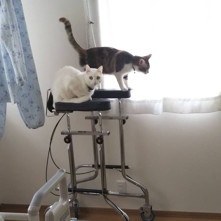 E9e79818 a5e0 405e 9e75 6b59509c7bf3 1644711627930