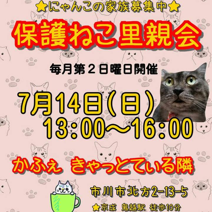 E9e79db1 d653 48c7 ad70 99814159aac0 1563029587523
