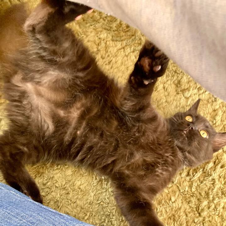 E9e79f71 78ce 4771 b3f7 3ed699af6798 1703224050172