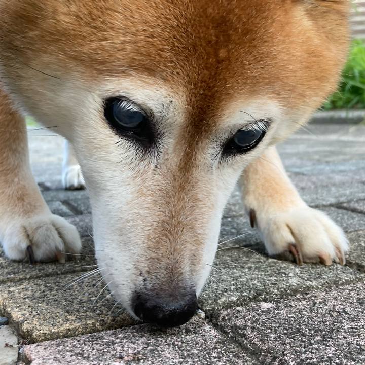 E9e7ad34 e2db 4798 b8c8 4838afc00e17 1720525524999