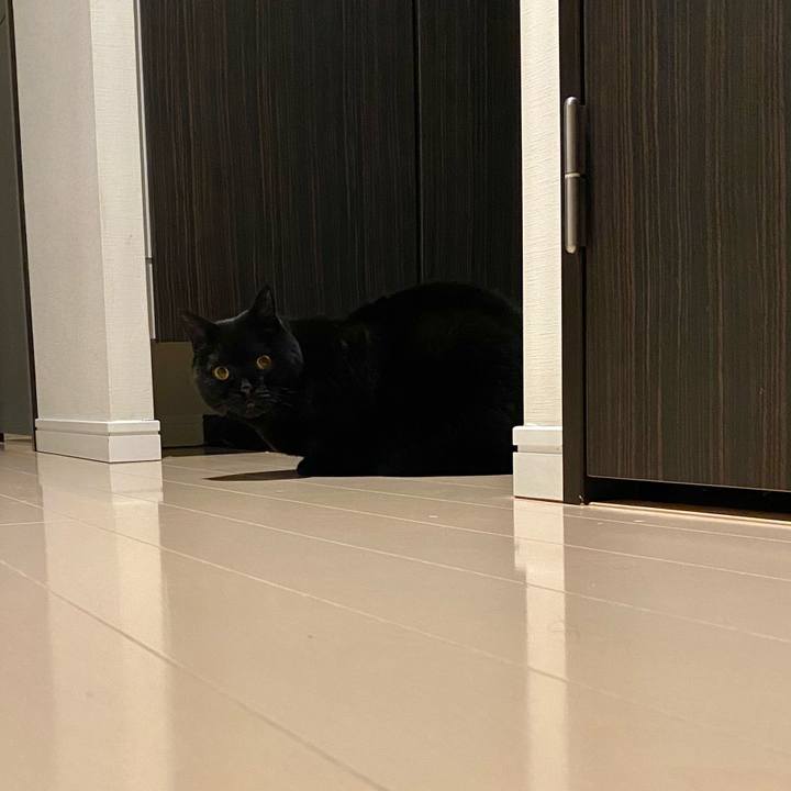 E9e7ae3a d3d0 4016 9a8c 7b8ad614f036 1767531076091