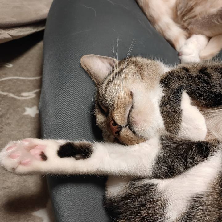 E9e7b1f9 eee8 4a94 bac4 15a95cbc5f1d 1674572136626