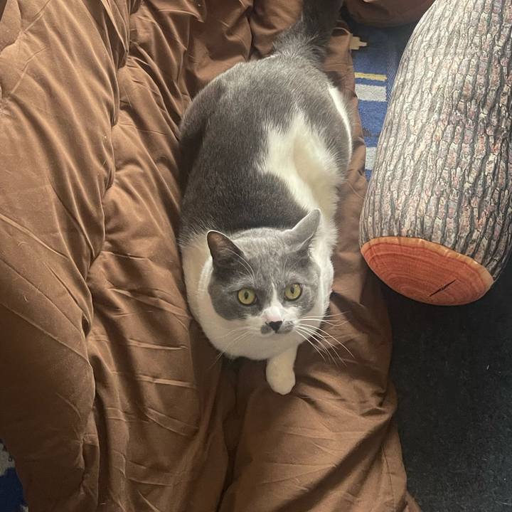 E9e7e9af 734e 468a 9d0b 0092bc082e52 1671845300690