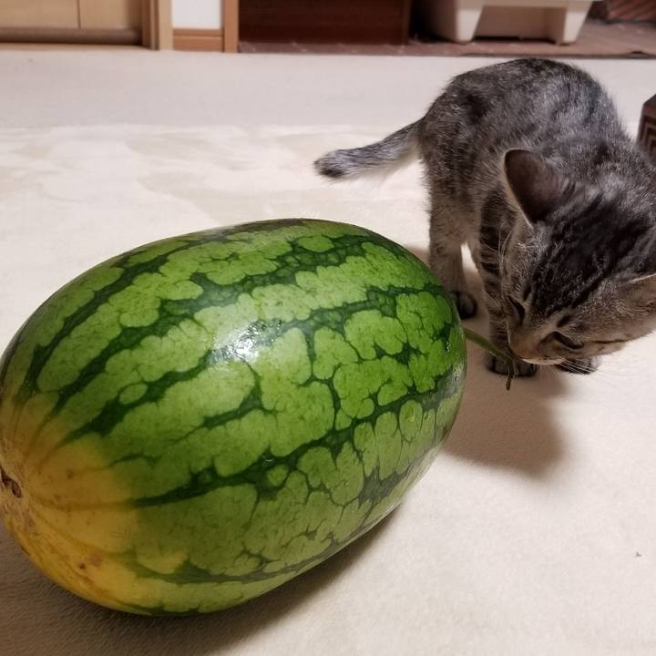 E9e7ea2f 9296 41bb 84ff 381ea786eaf3 1665153436469