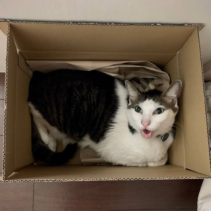 E9e80b3d d4e0 4e5f b624 3b2d5c2b56f2 1701225467280