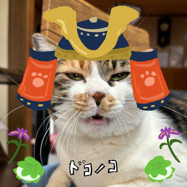 E9e827dd 985a 4040 a5ed bac77d5ec78c 1715087865808