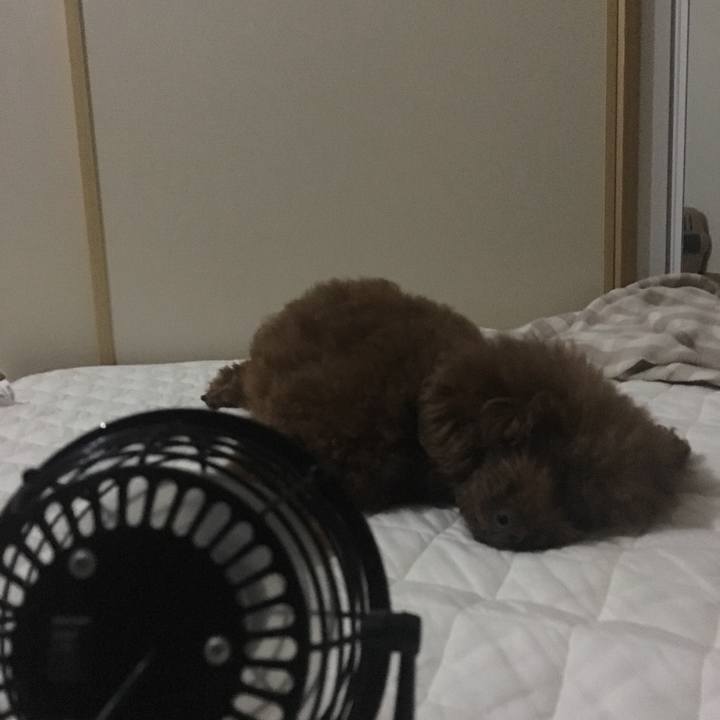 E9e82f29 cb28 4b06 9250 cbabc0096cd9 1536239620677