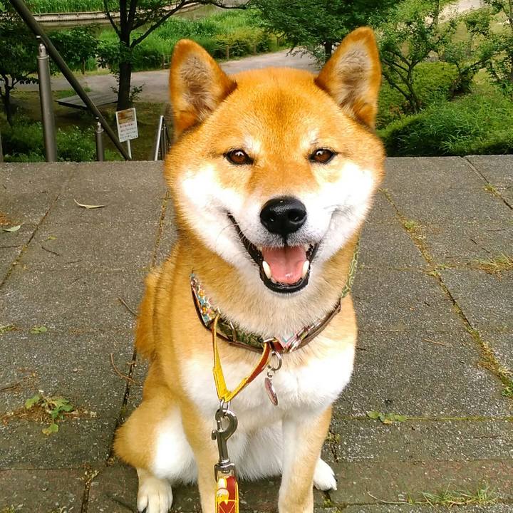 E9e8391e ec03 41bc 973a cd0afb08f4a5 1526516639076