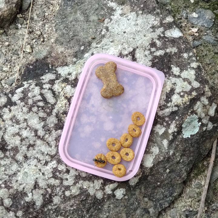 E9e84f07 4428 4140 a1f8 fad22e7002c2 1660966518821