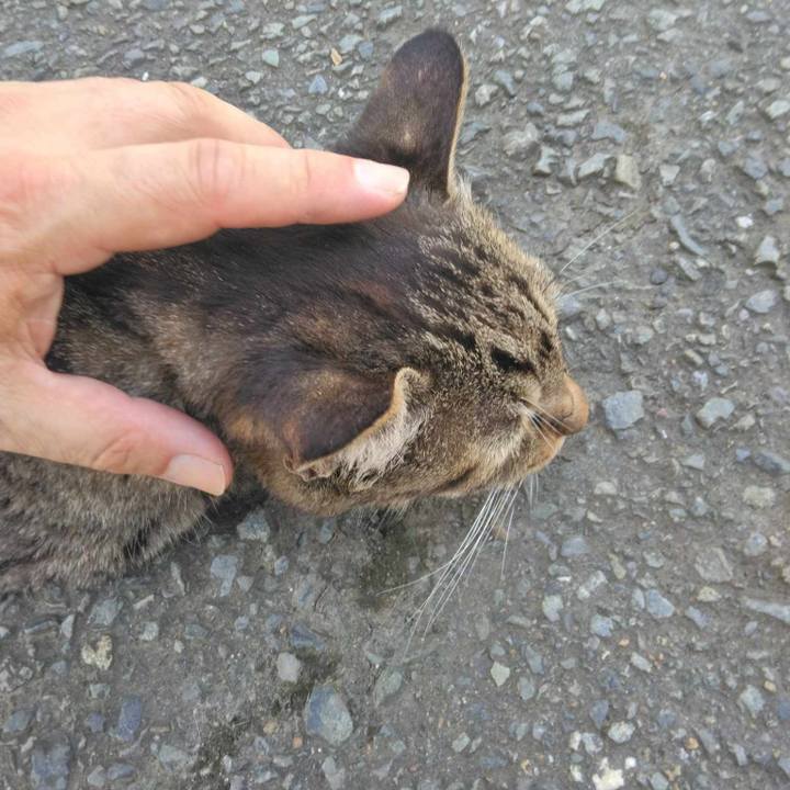 E9e850c6 01bf 43fa 8e87 bc445cc0a96d 1722564799984