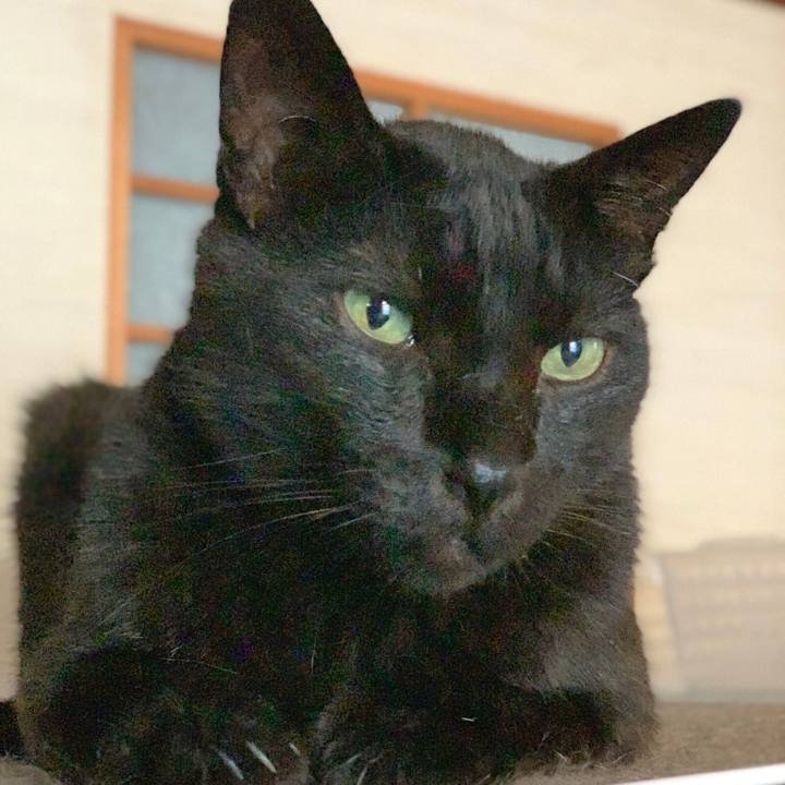 E9e854e9 44ba 41fe 9203 5752ba8e7e9e 1564881114393