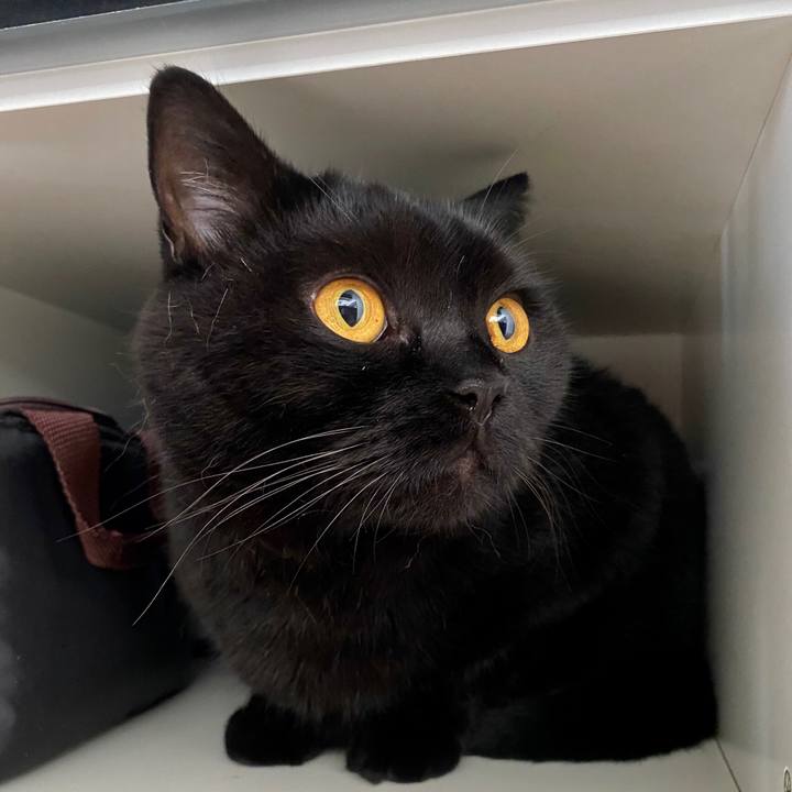 E9e87946 48f0 4695 b3e2 e239a62650f3 1599261831362