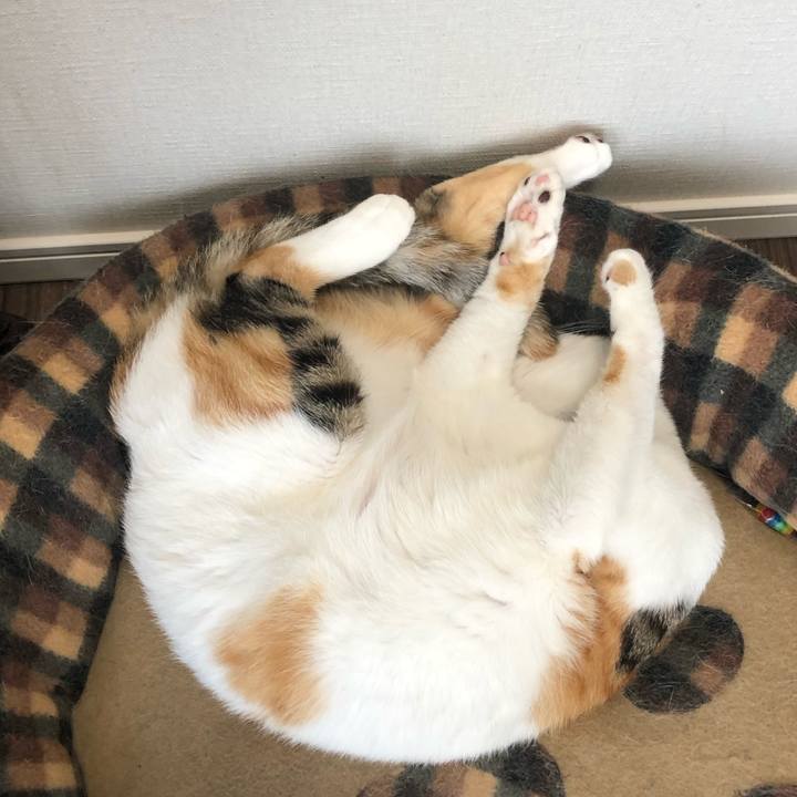 E9e882ea d66d 4ca9 a8d1 df8b7b2ecf78 1594274681792