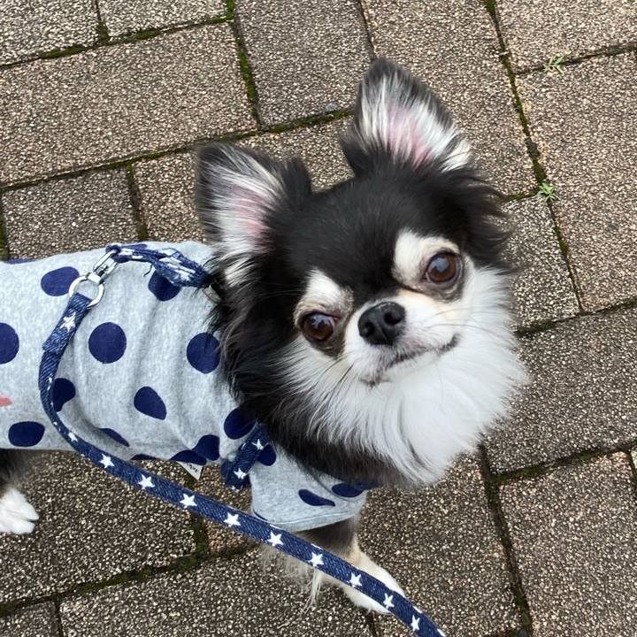 E9e893aa e7fd 4f9b a71a e22c6ff302e9 1653225610210