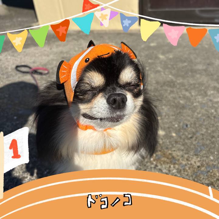 E9e8aa80 3a14 41b6 84f0 9541e5be5f93 1762563006002