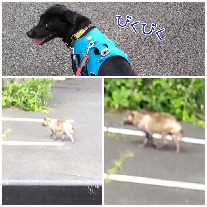 E9e8d3ae 717b 4446 aa7a 977b6d300219 1623974464813