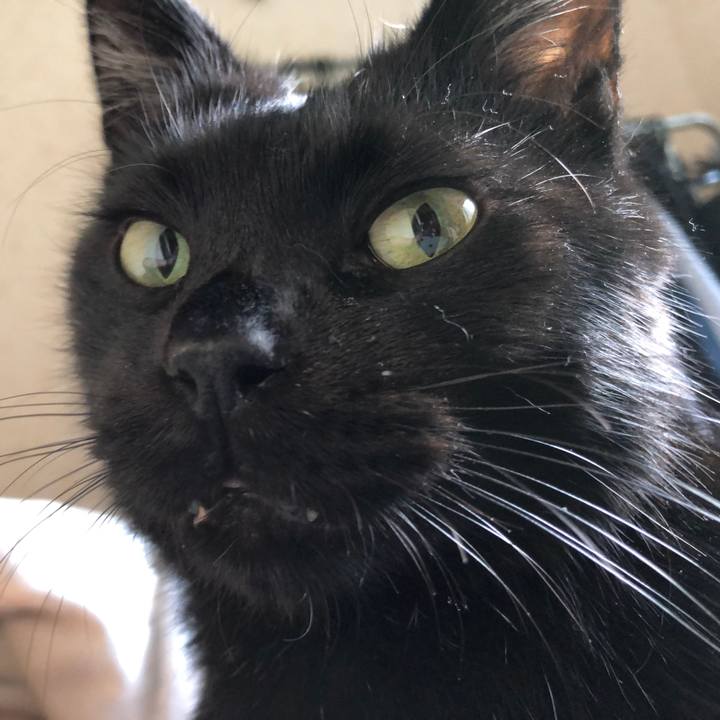 E9e8fbb8 e380 4ed0 a47a 74cba6e31cd3 1569628903845