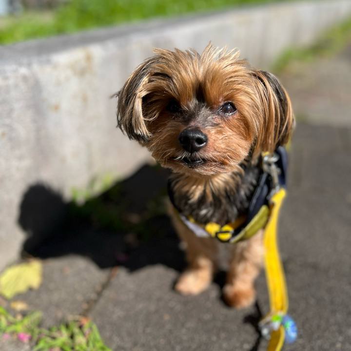 E9e91759 57e9 4cd9 bc20 8adf9dd9d39c 1666751128677