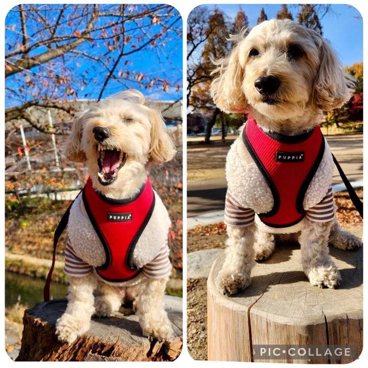 E9e91803 c8a3 4af7 8bd5 6f1e9d339cef 1764831173770