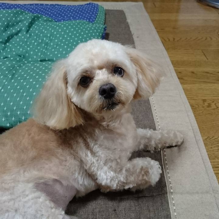 E9e92f31 bc49 48fc a1dc ab6d1e44beb4 1536488700477