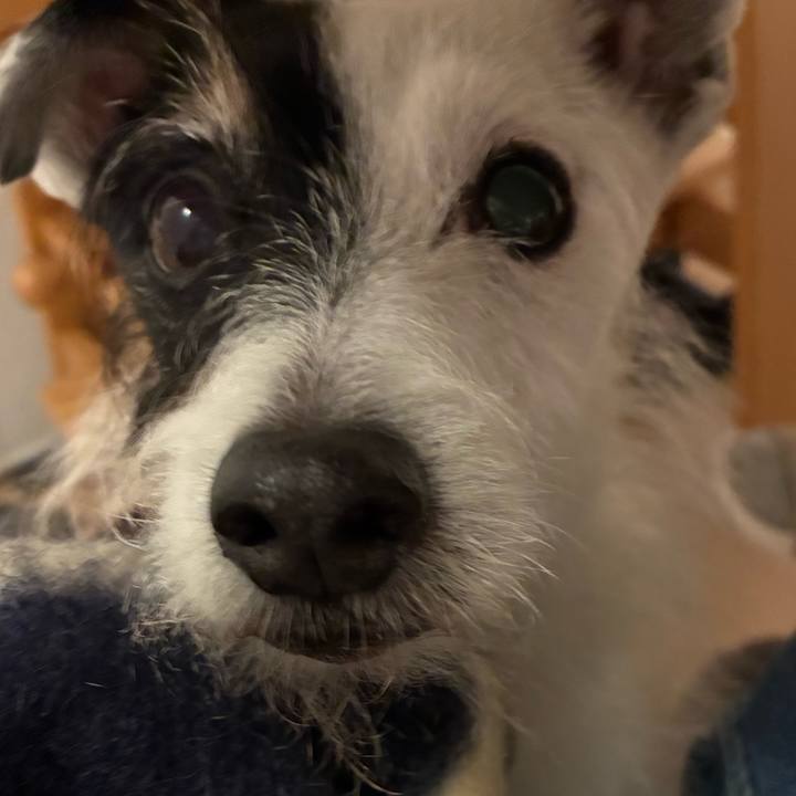 E9e9b94d 48f3 41f7 b64d 19f57851c0ee 1765192387744