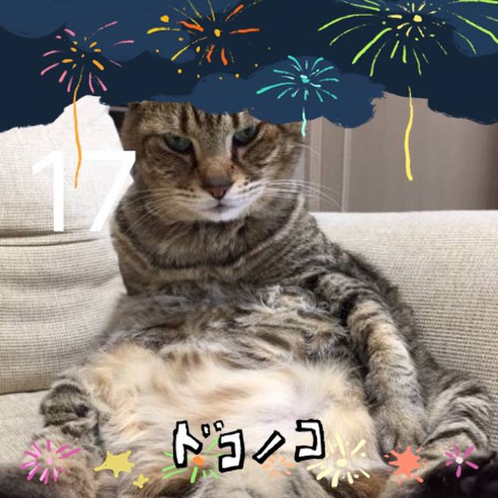 E9e9ba65 886c 4c6e a6a0 e978f55316a8 1723174603635